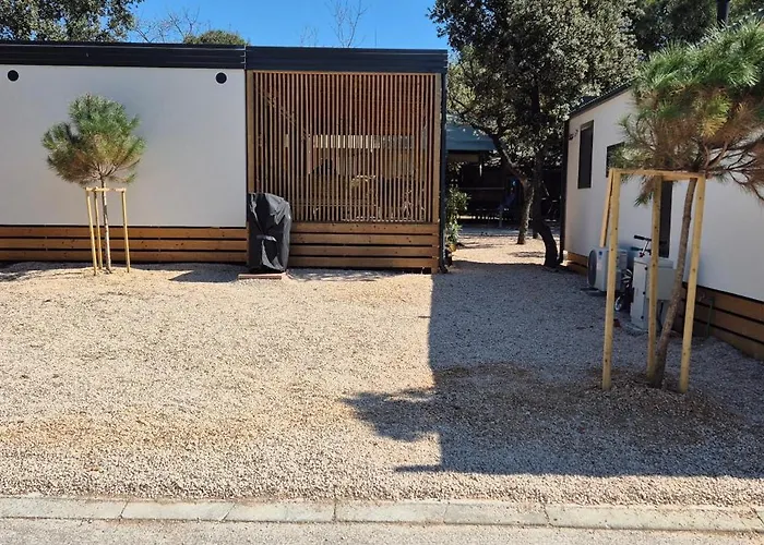 Olive Mobile Home